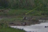 20060521_siberische taling_Durgerdam